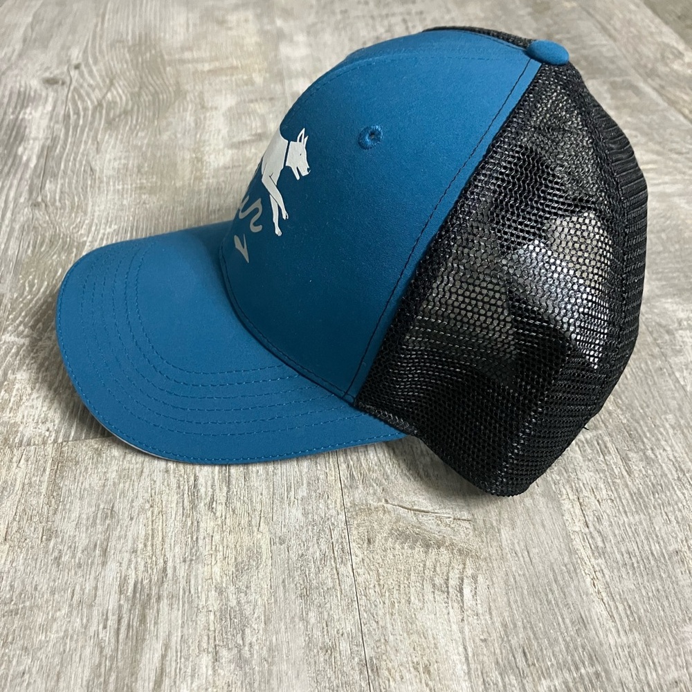 “Run” dog hat - Picture 2 of 4